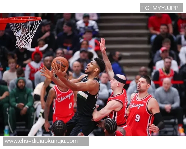 小牛与雄鹿的对决谁能在赛季中脱颖而出展现实力与团队合作